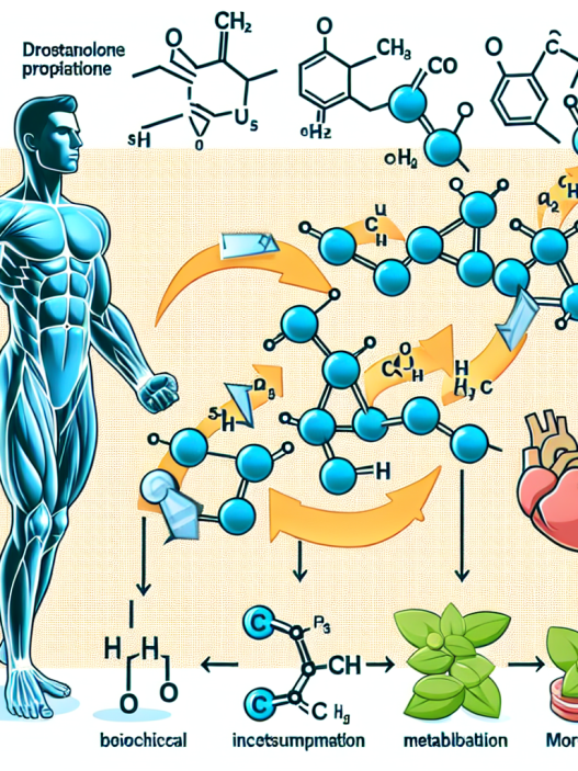 Wie Drostanolon propionat den Kalorienverbrauch effektiv steigern kann